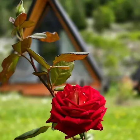Дом отдыха Thethi Sky House 2